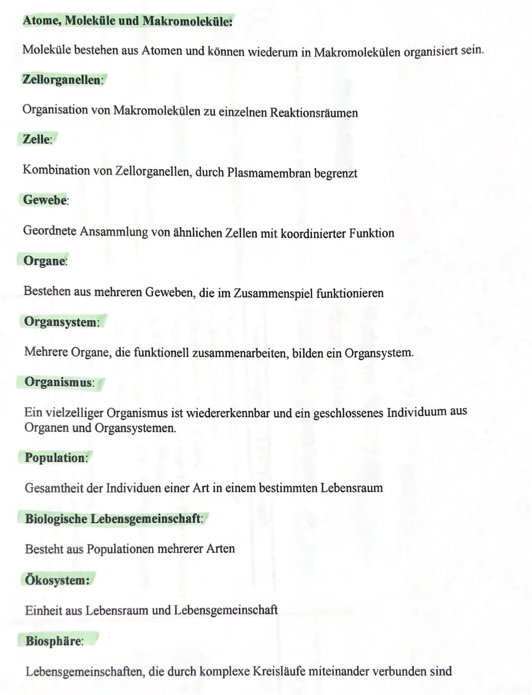Atome, Moleküle und Makromoleküle:
Moleküle bestehen aus Atomen und können wiederum in Makromolekülen organisiert sein.
Zellorganellen:
Orga