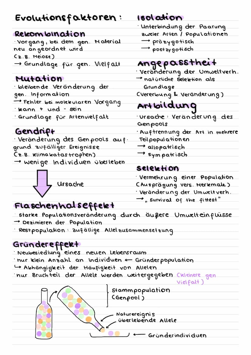 Exolution
Evolutionstheorien:
George Cuvier (1769-1832)
alle Arten sind unveränderlich und unabhängig
voneinander geschaffen
Naturkatastroph