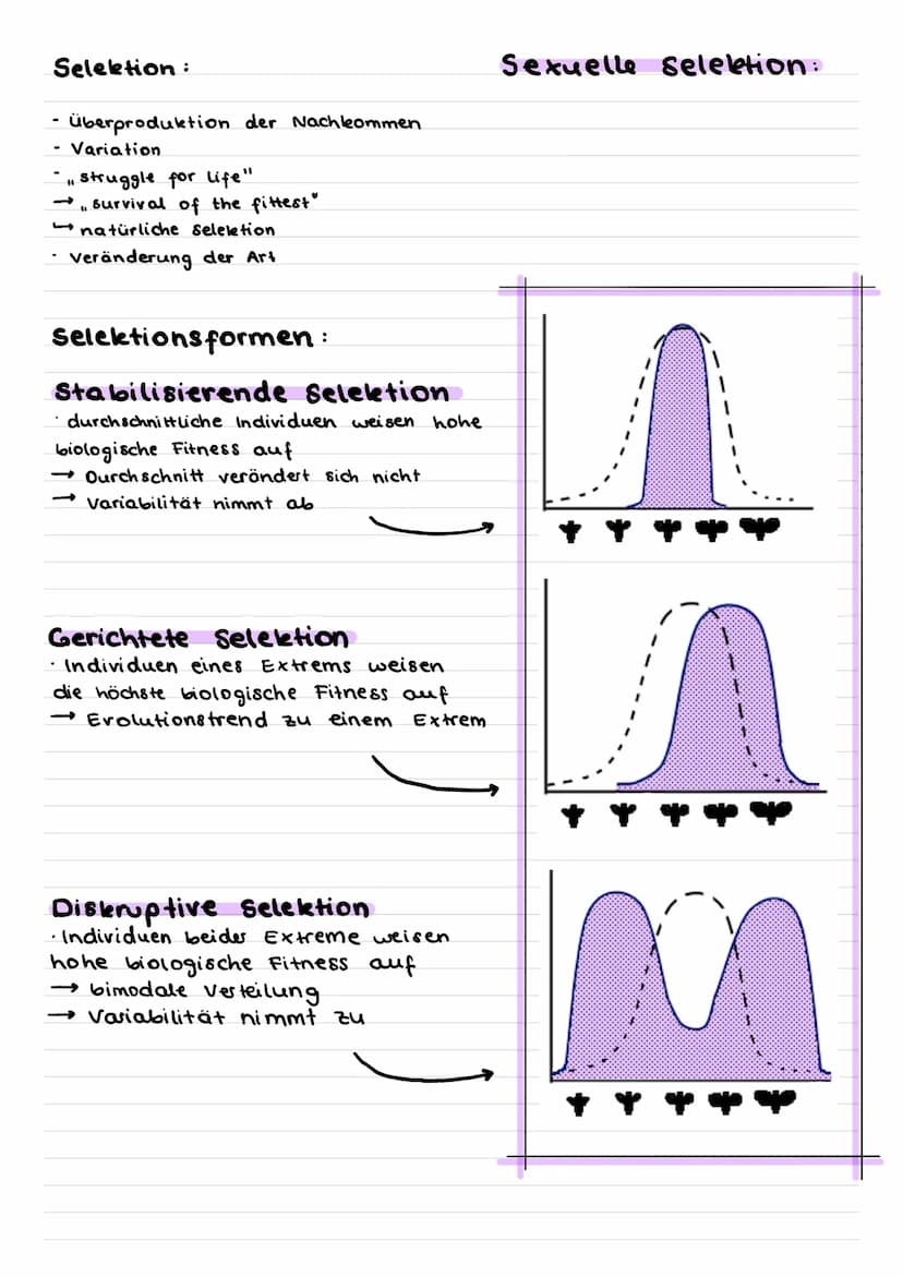 Exolution
Evolutionstheorien:
George Cuvier (1769-1832)
alle Arten sind unveränderlich und unabhängig
voneinander geschaffen
Naturkatastroph