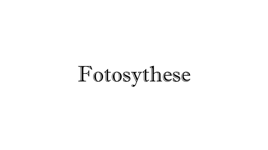 Fotosynthese 