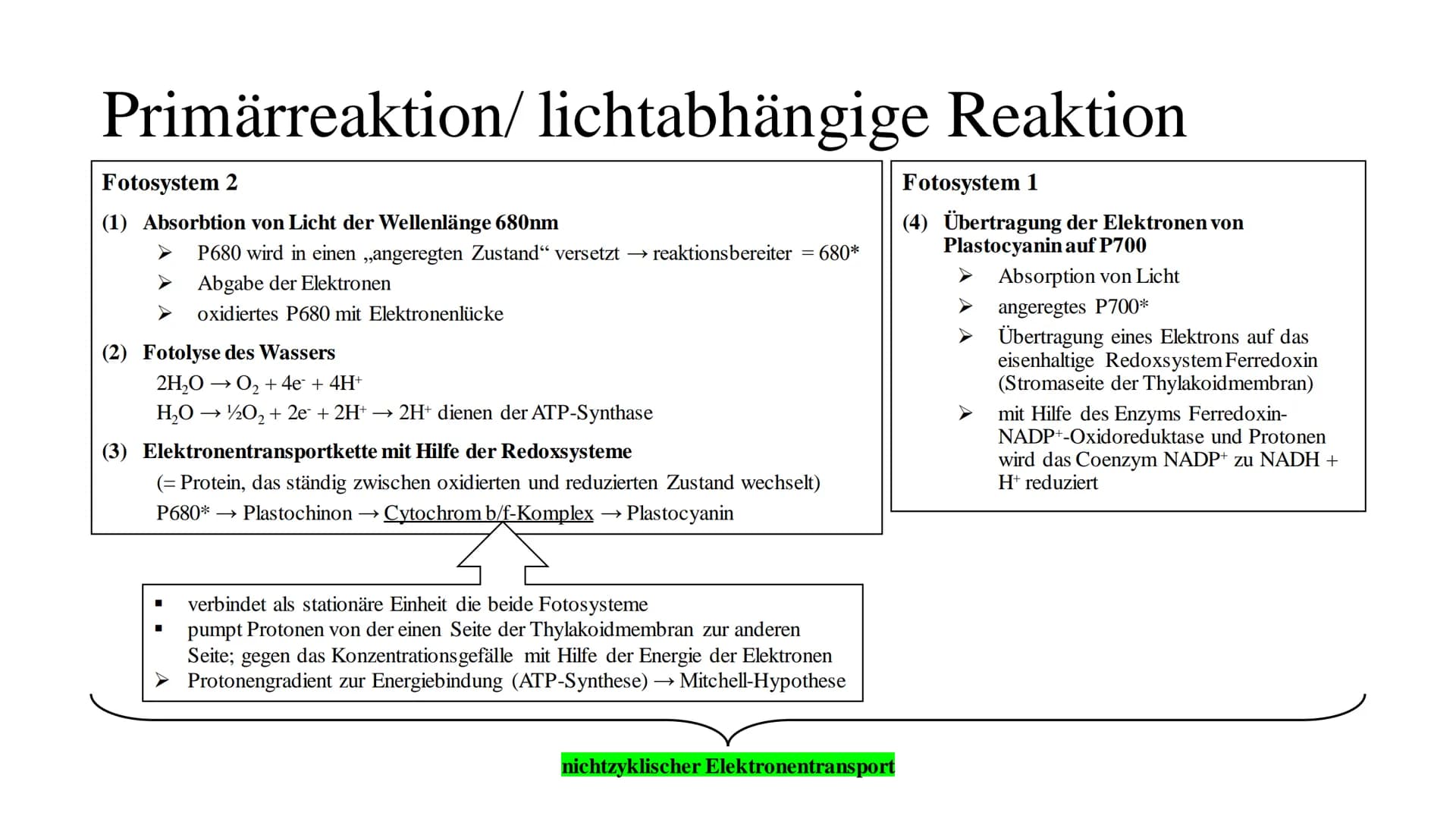Fotosythese Fotosynthese
Die Fotosynthese ist ein Assimilationsprozess (= aufbauender Prozess)
Die Fotosynthese ist formell die Umkehrung de