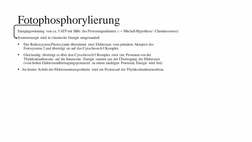Fotosythese Fotosynthese
Die Fotosynthese ist ein Assimilationsprozess (= aufbauender Prozess)
Die Fotosynthese ist formell die Umkehrung de