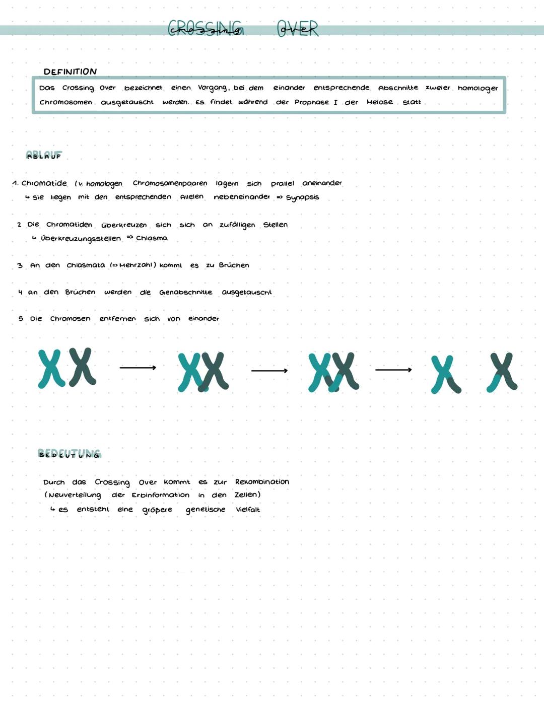 DEFINITION
Das Crossing Over bezeichnet einen Vorgang, bei dem
Chromosomen ausgetauscht werden. ES findet während
ABLAUF
CROSSING
1. Chromat