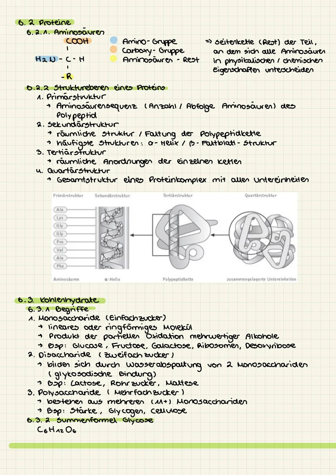 Zellen
Deinstieg: organisationsebenen
□zellarten
□ Aufbau der zelle / zellorganellen
□ mikroskopische versuche
□ Biomembran + Modelle und de