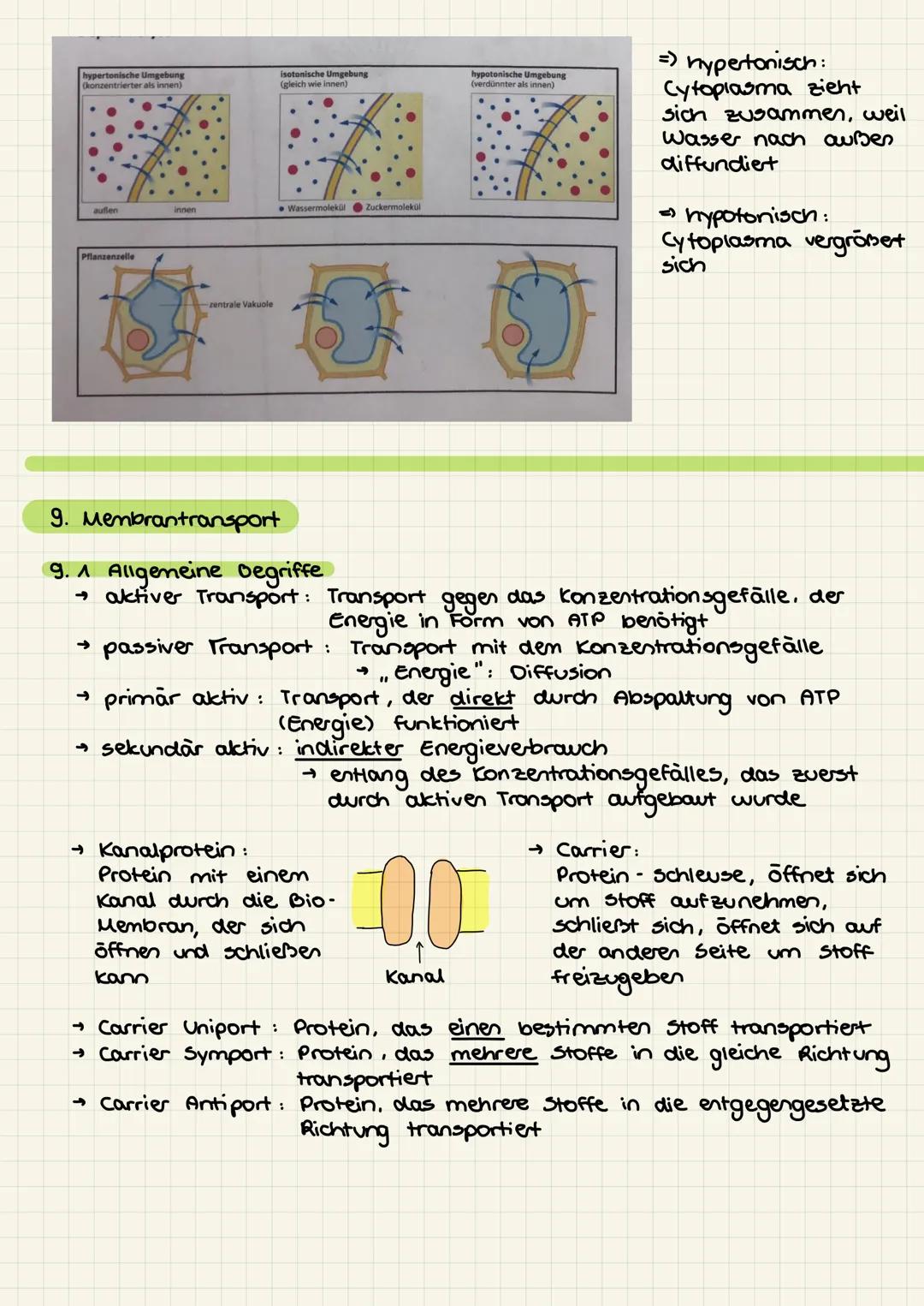 Zellen
Deinstieg: organisationsebenen
□zellarten
□ Aufbau der zelle / zellorganellen
□ mikroskopische versuche
□ Biomembran + Modelle und de