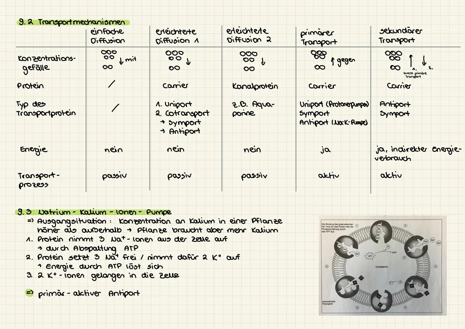 Zellen
Deinstieg: organisationsebenen
□zellarten
□ Aufbau der zelle / zellorganellen
□ mikroskopische versuche
□ Biomembran + Modelle und de