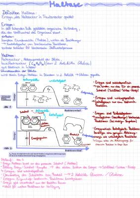 Know Maltase thumbnail