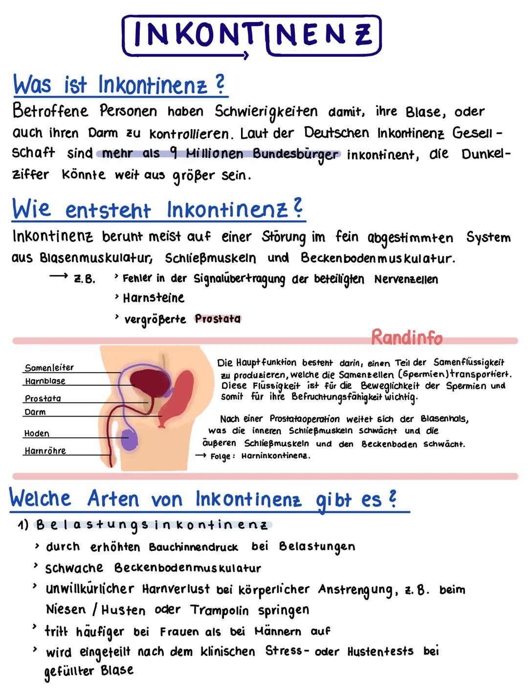 INKONTINENZ
Was ist Inkontinenz
?
Betroffene Personen haben Schwierigkeiten damit, ihre Blase, oder
auch ihren Darm zu kontrollieren. Laut d