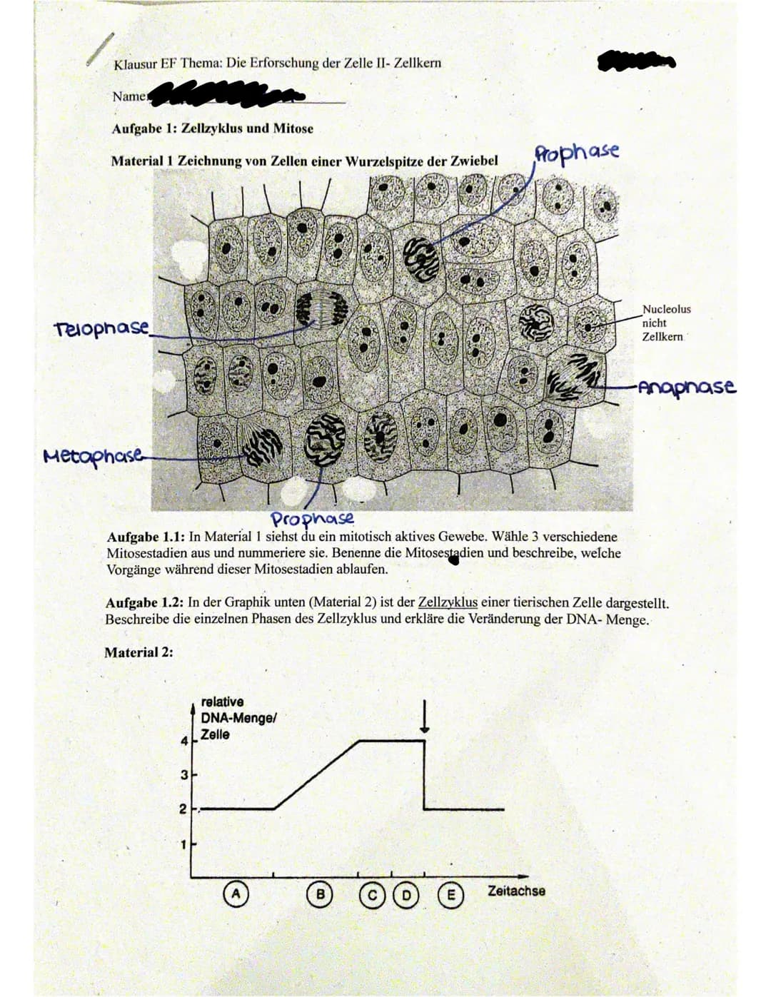 
<h2 id="wasistdiedna">Was ist die DNA?</h2>
<p>Die DNA, auch Desoxyribonukleinsäure genannt, ist ein wichtiger Bestandteil jeder Zelle und 