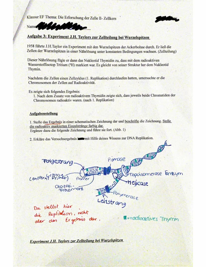
<h2 id="wasistdiedna">Was ist die DNA?</h2>
<p>Die DNA, auch Desoxyribonukleinsäure genannt, ist ein wichtiger Bestandteil jeder Zelle und 
