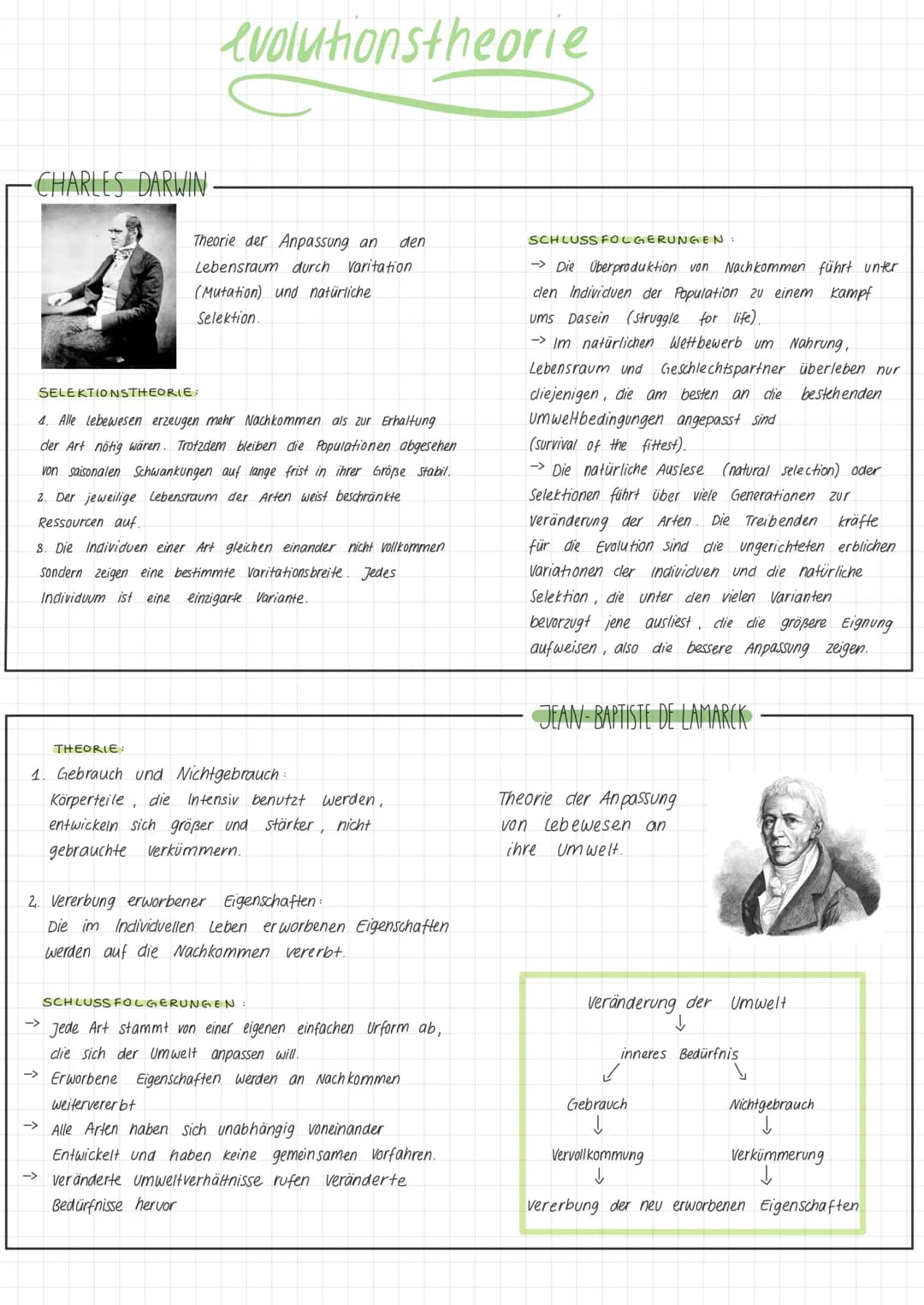 evolut
evolutionstheorie
-CHARLES DARWIN-
Theorie der Anpassung an den
Lebensraum durch Varitation
(Mutation) und natürliche
Selektion.
SELE