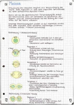 Know Meiose thumbnail