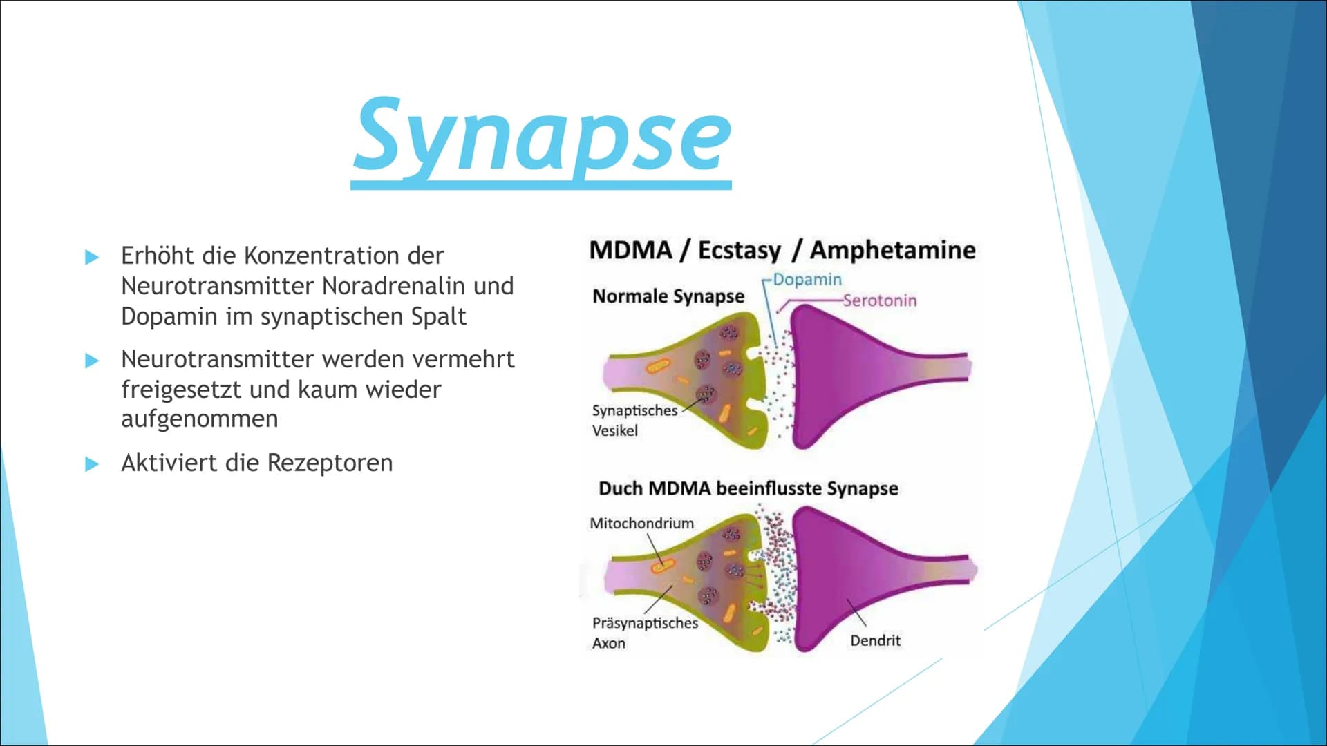 Methamphetamin Gliederung
Informationen
Zusammensetzung
Synapse
Wirkung
Körperliche Auswirkungen
Psychische Auswirkung
Risiken Information
v