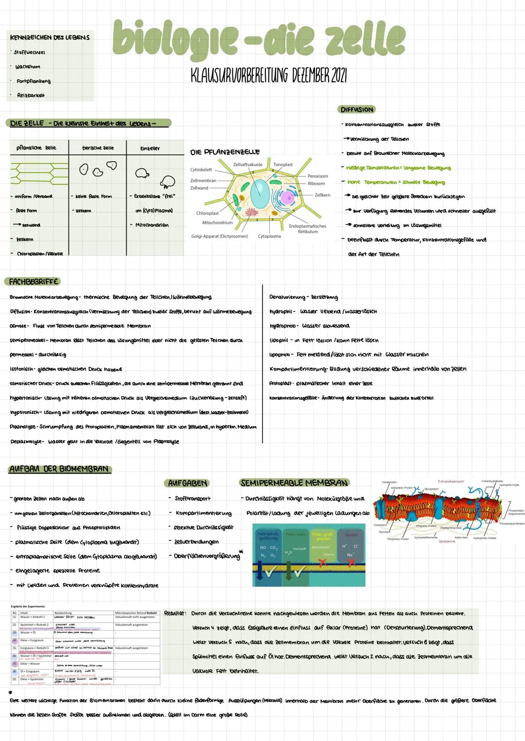 KENNZEICHEN DES LEBENS
• Stoffwechsel
· Wachstum
Fortpflanzung
Reizbarkelt
DIE ZELLE-Die kleinste Einheit des Lebens-
pflanzliche zelle
- un