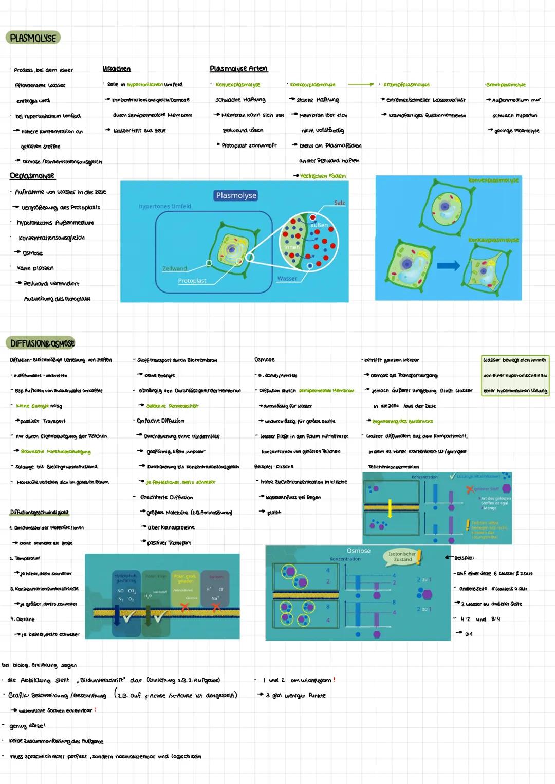 KENNZEICHEN DES LEBENS
• Stoffwechsel
· Wachstum
Fortpflanzung
Reizbarkelt
DIE ZELLE-Die kleinste Einheit des Lebens-
pflanzliche zelle
- un