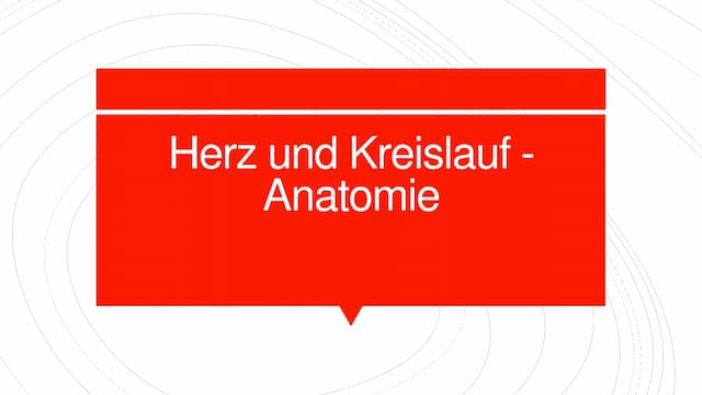 Know Herz Kreislauf Anatomie thumbnail