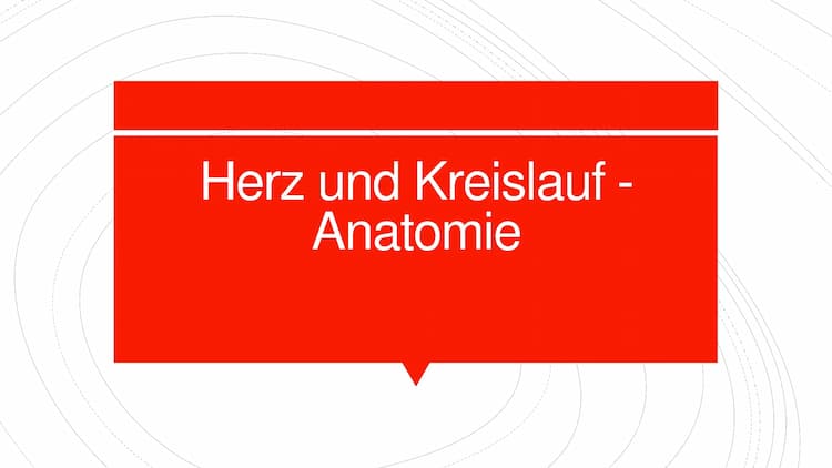 Know Herz Kreislauf Anatomie thumbnail