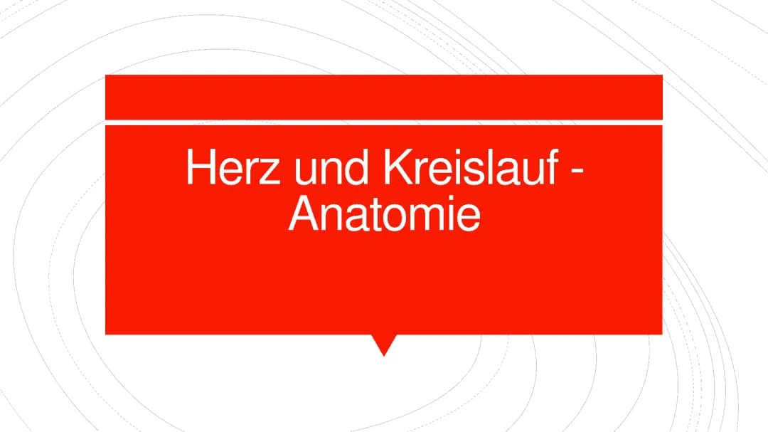 Anatomie des Herzens einfach erklärt: Ein Blick auf das Herz-Kreislauf-System für Schüler