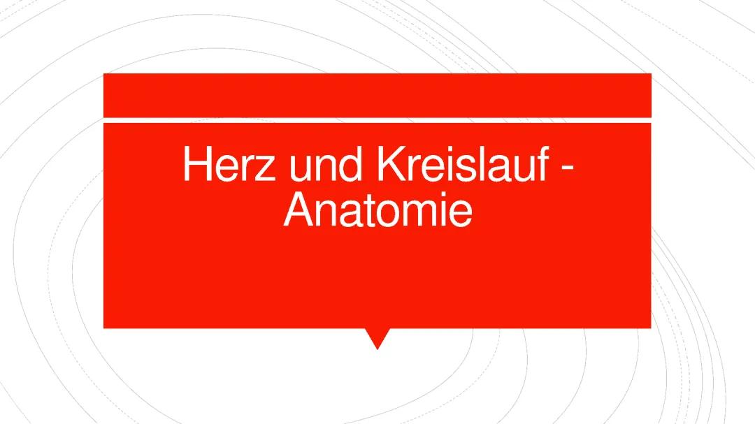 Anatomie des Herzens einfach erklärt: Ein Blick auf das Herz-Kreislauf-System für Schüler