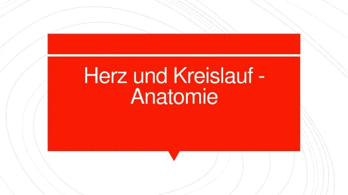 Know Herz Kreislauf Anatomie thumbnail