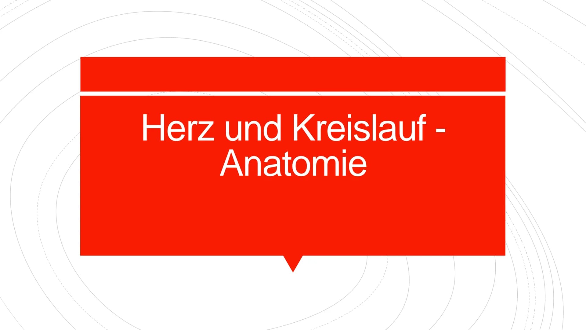 Herz und Kreislauf-
Anatomie Inhaltsverzeichnis
Lage und Aufbau des Herzens
Herzhälften und Herzkammern
1.
2.
3. Die vier Herzklappen
4. Aor