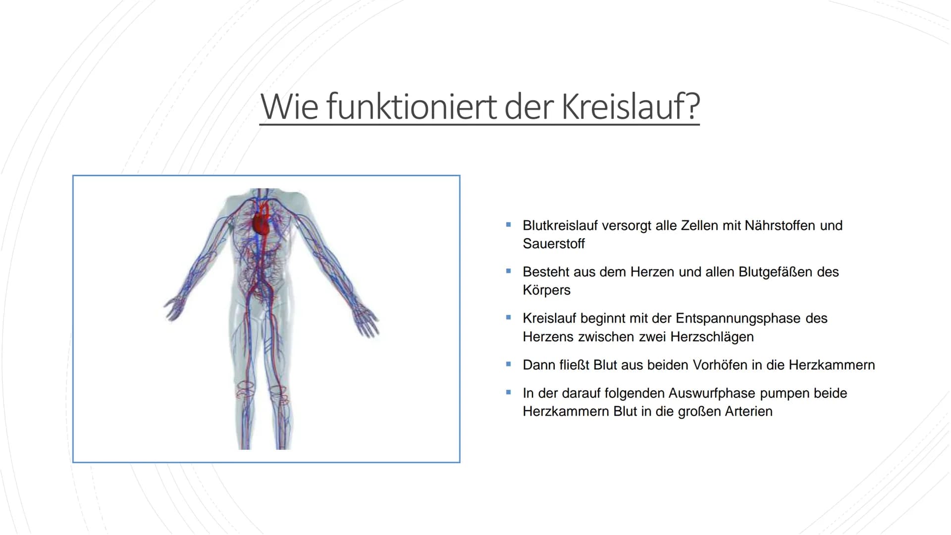 Herz und Kreislauf-
Anatomie Inhaltsverzeichnis
Lage und Aufbau des Herzens
Herzhälften und Herzkammern
1.
2.
3. Die vier Herzklappen
4. Aor