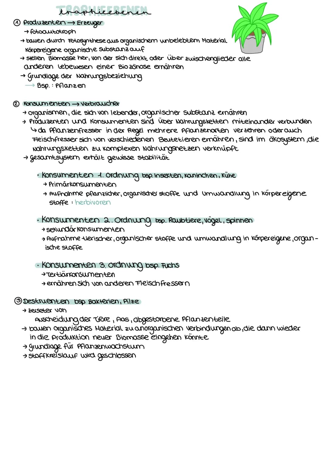 traphieebenen
Ⓒ Produzenten → Erzeuger
→ fotoautotroph
→ bauen durch Fotosynthese aus organischem unbelebtem Material
Körpereigene organisch