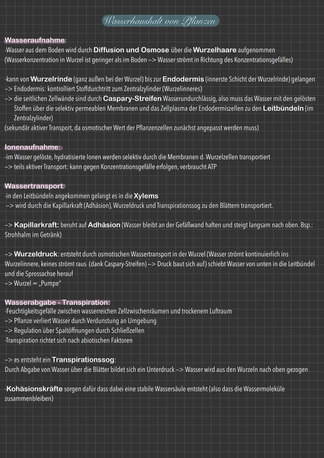 Wasserhaushalt von Pflanzen
