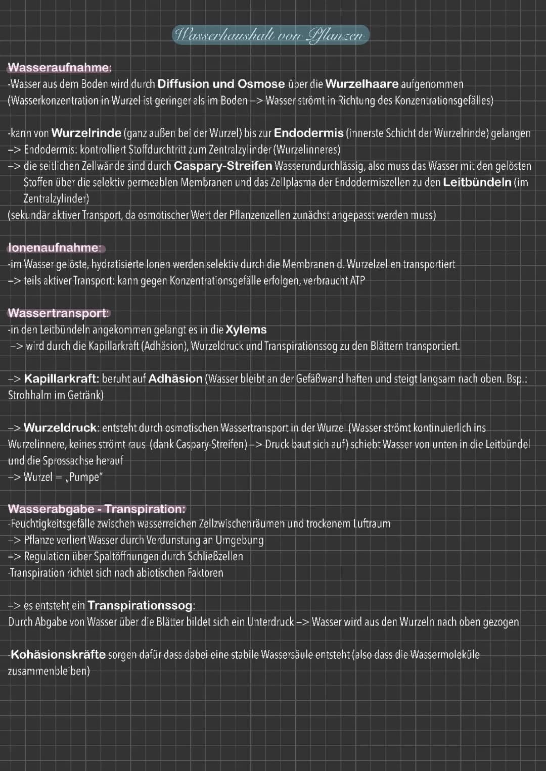 Wasserhaushalt von Pflanzen