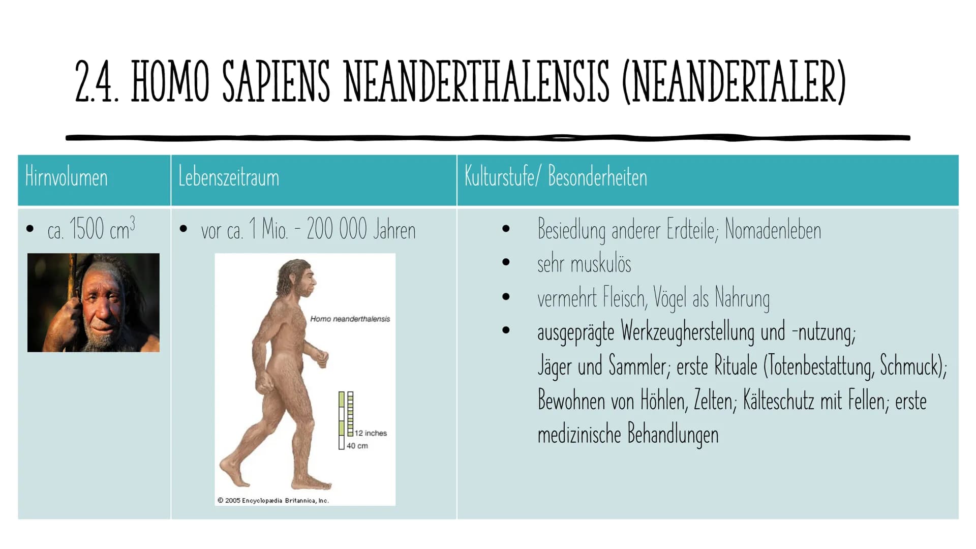 Die Evolution
des Menschen GLIEDERUNG
1.
2. Vertreter
Allgemeines
3. Ausbreitung
4. Rudimentären Organe
5. Der aufrechte Gang
DOE ●
1. ALLGE