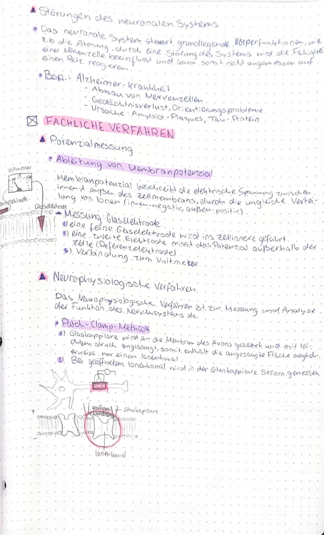 # NEUROBIOLOGIE

☑ GRUNDLAGEN DER INFORMATIONSVERARBEITUNG

▲ Bau und Funktionen von Nervenzellen

● Neuron
- Dendrit (nimmt Reize auf & lei