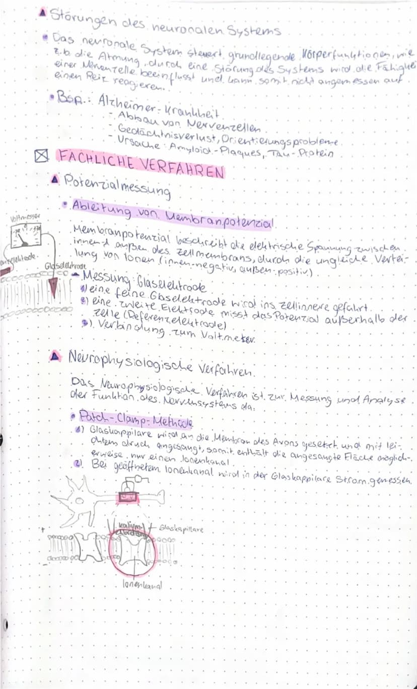 # NEUROBIOLOGIE

☑ GRUNDLAGEN DER INFORMATIONSVERARBEITUNG

▲ Bau und Funktionen von Nervenzellen

● Neuron
- Dendrit (nimmt Reize auf & lei