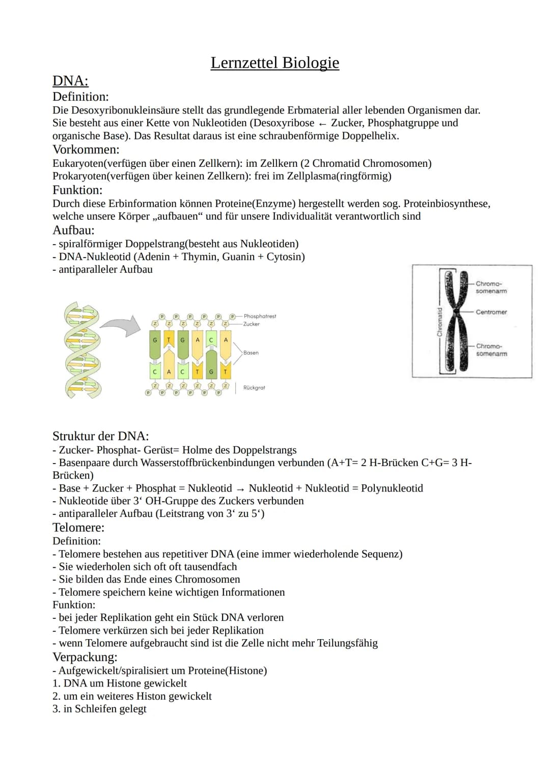 DNA:
Definition:
Die Desoxyribonukleinsäure stellt das grundlegende Erbmaterial aller lebenden Organismen dar.
Sie besteht aus einer Kette v