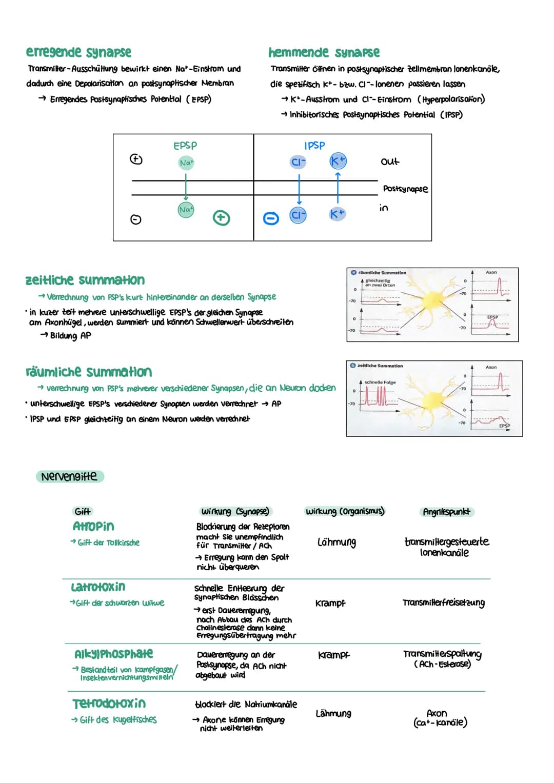 NEUROBIOLOGIE Reiz-Reaktions-Schema
Reiz
• Licht
Druck (wellen)
Geschmacksstoff
Temperatur
•Ruf (Schallwellen)
Steuerung
Regelung
Funktion N