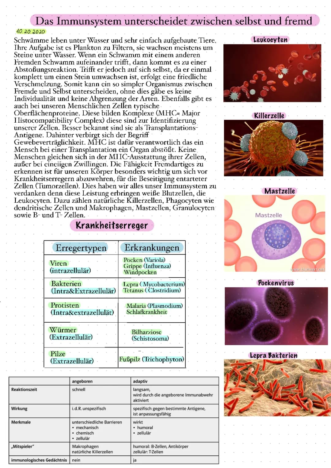 Immunbiologie 