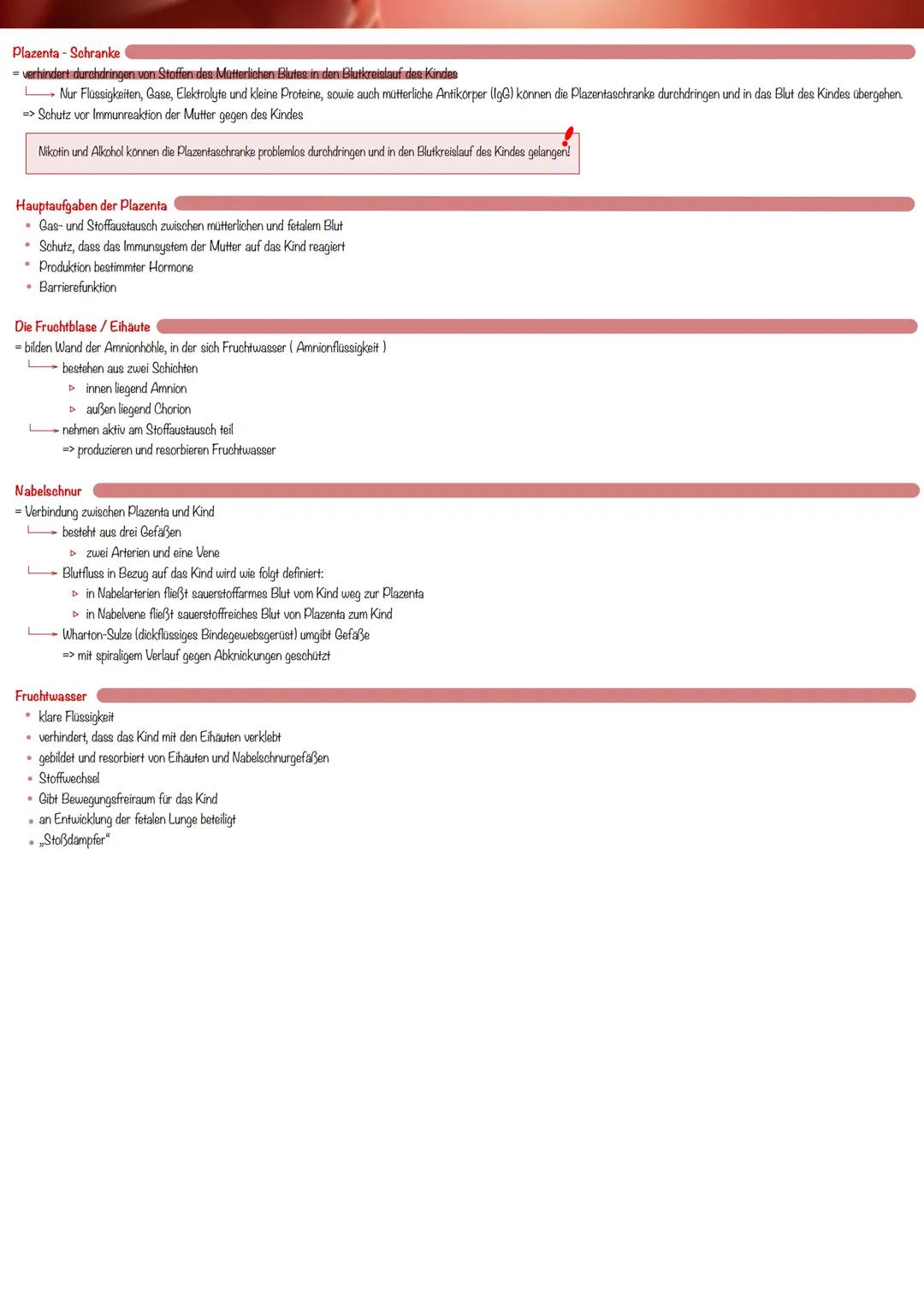 Definition
= lat. Gravidität
Beschreibt Zustand der Frau, der mit der Befruchtung der Eizelle beginnt und der Geburt eines Kindes endet
Diag