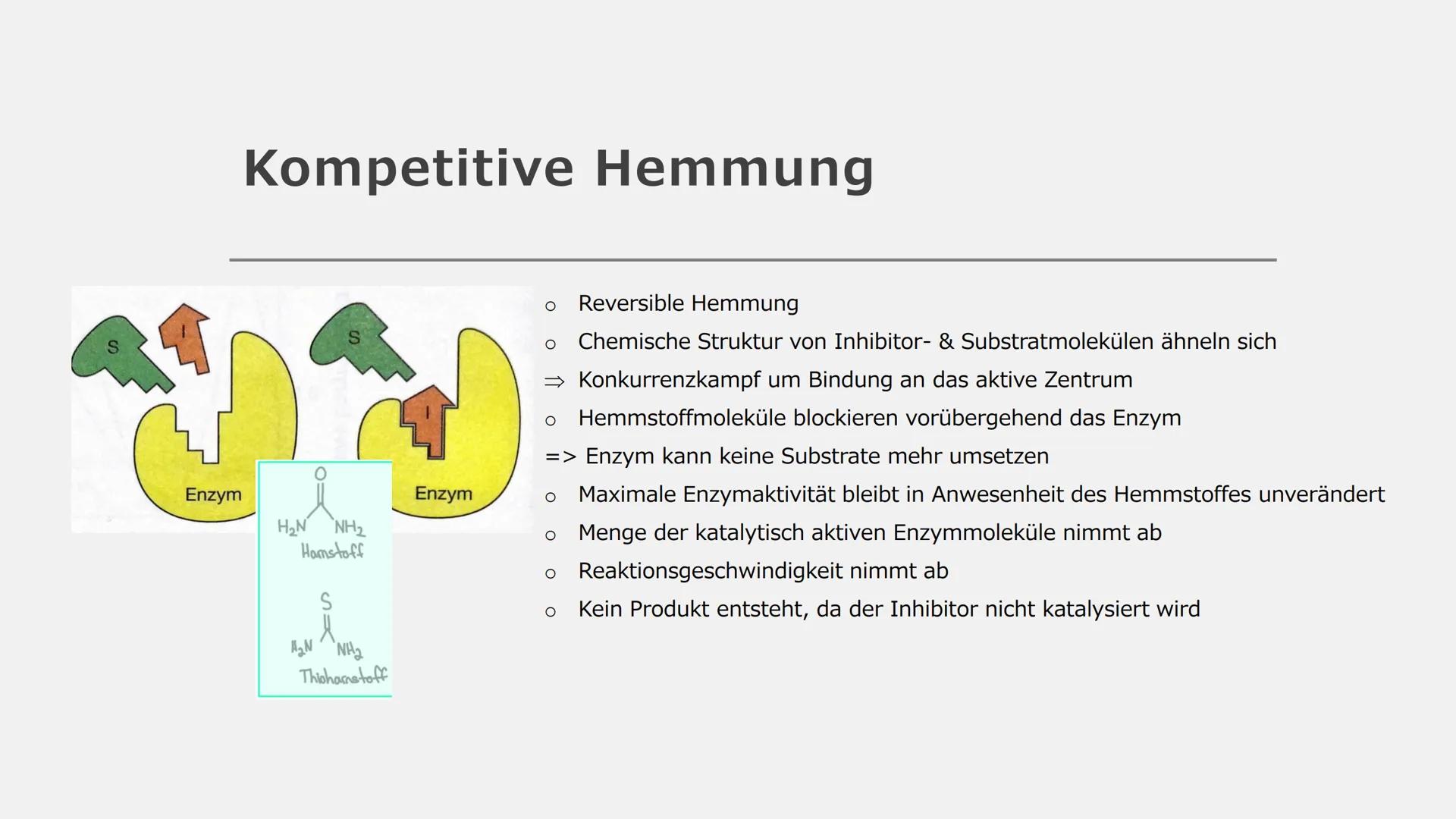 Enzym
Reaktion
Enzym
Inhibitor-
molekül
nicht
kompetitiv
Enzym
Hemm-
stoff
keine Reaktion
Enzym
Regulation
enzymkatalysierter
Reaktionen Reg