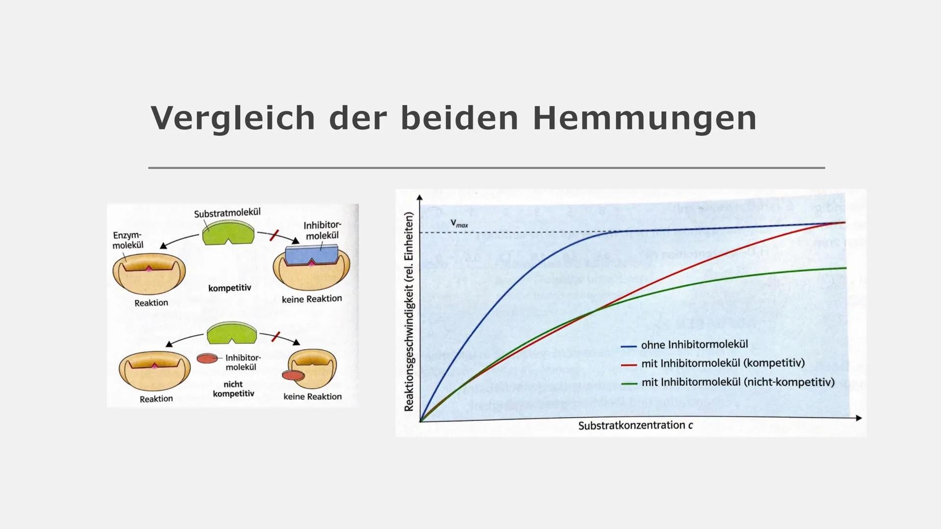 Enzym
Reaktion
Enzym
Inhibitor-
molekül
nicht
kompetitiv
Enzym
Hemm-
stoff
keine Reaktion
Enzym
Regulation
enzymkatalysierter
Reaktionen Reg