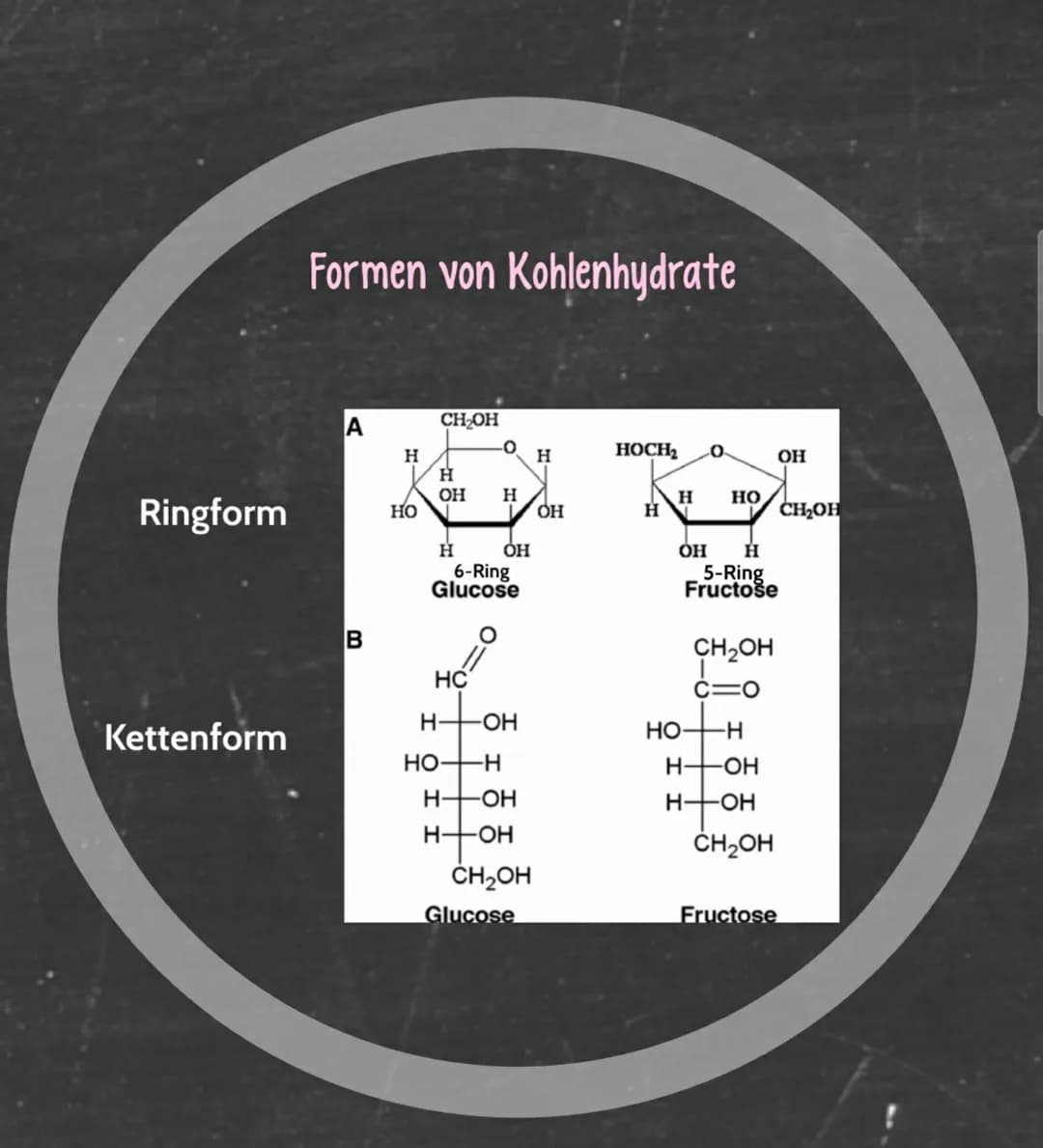 Allgemeines
Enten durch Photzsyvhese le der Plane
Liegen var, wenn mindestens eine Katograpps and wai Hydroxylgruppen
war legen
-Gruppe von 