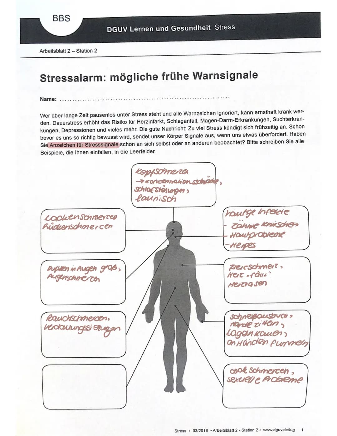 Stress
Alle Belastungen und Anforderungen die zu einer Stressreaktion im Körper führen.
Reaktion auf bestimmte Umweltreize
Eustress
Digstreg
