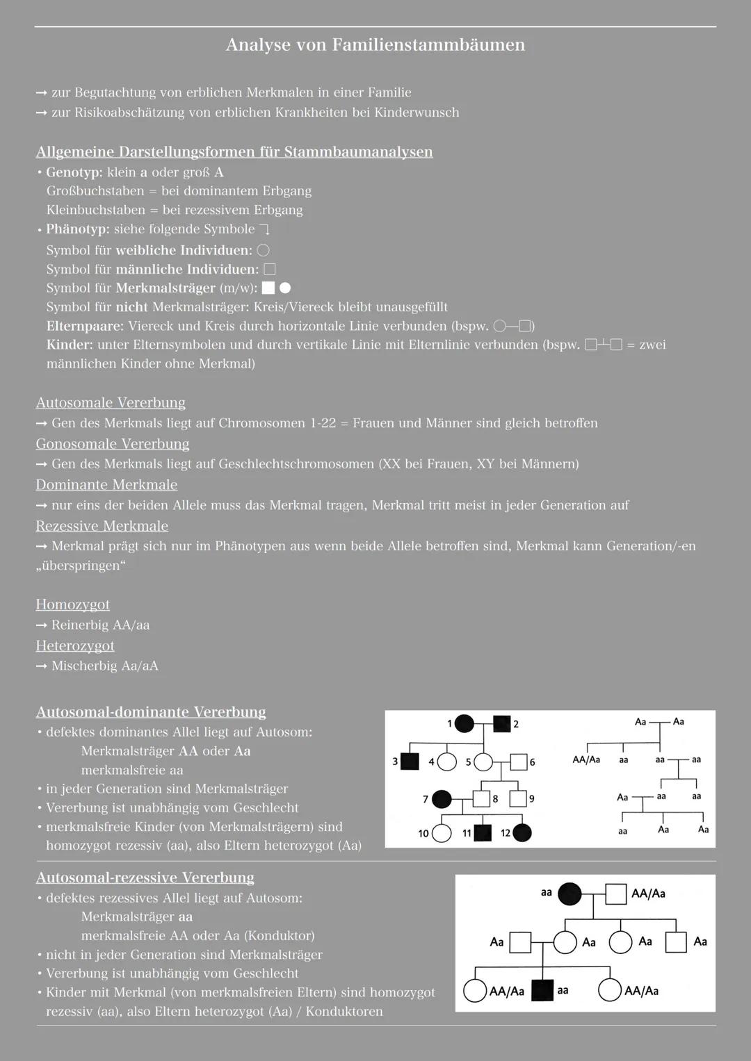 Analyse von Familienstammbäumen 
