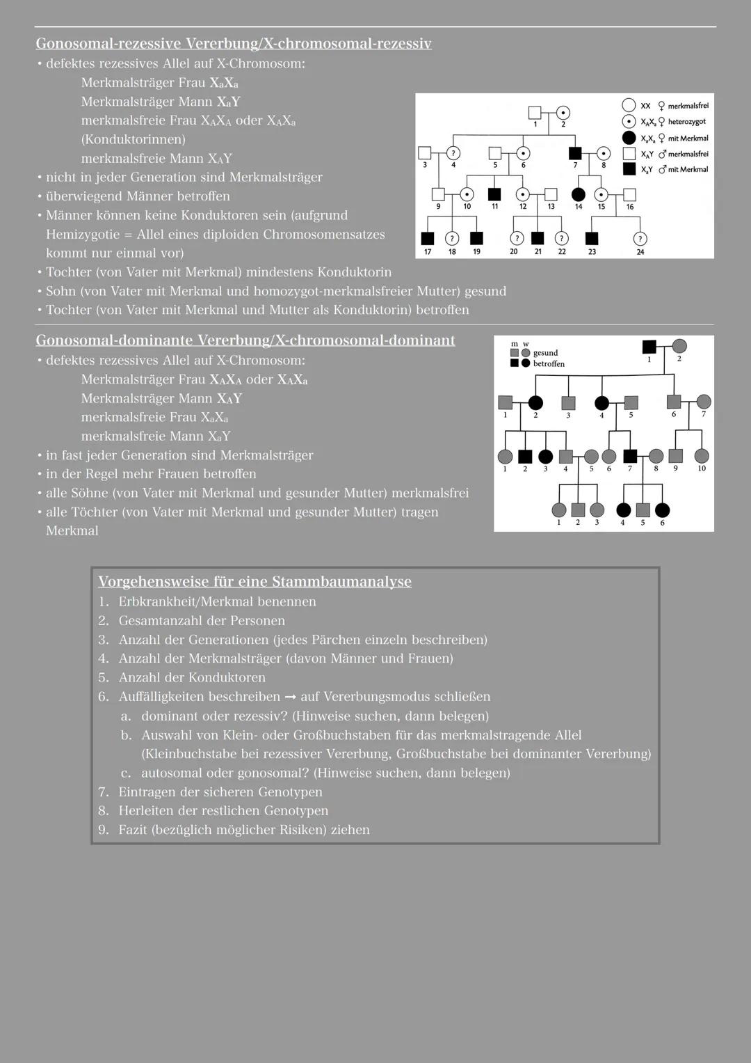 # Analyse von Familienstammbäumen

- zur Begutachtung von erblichen Merkmalen in einer Familie
- zur Risikoabschätzung von erblichen Krankhe