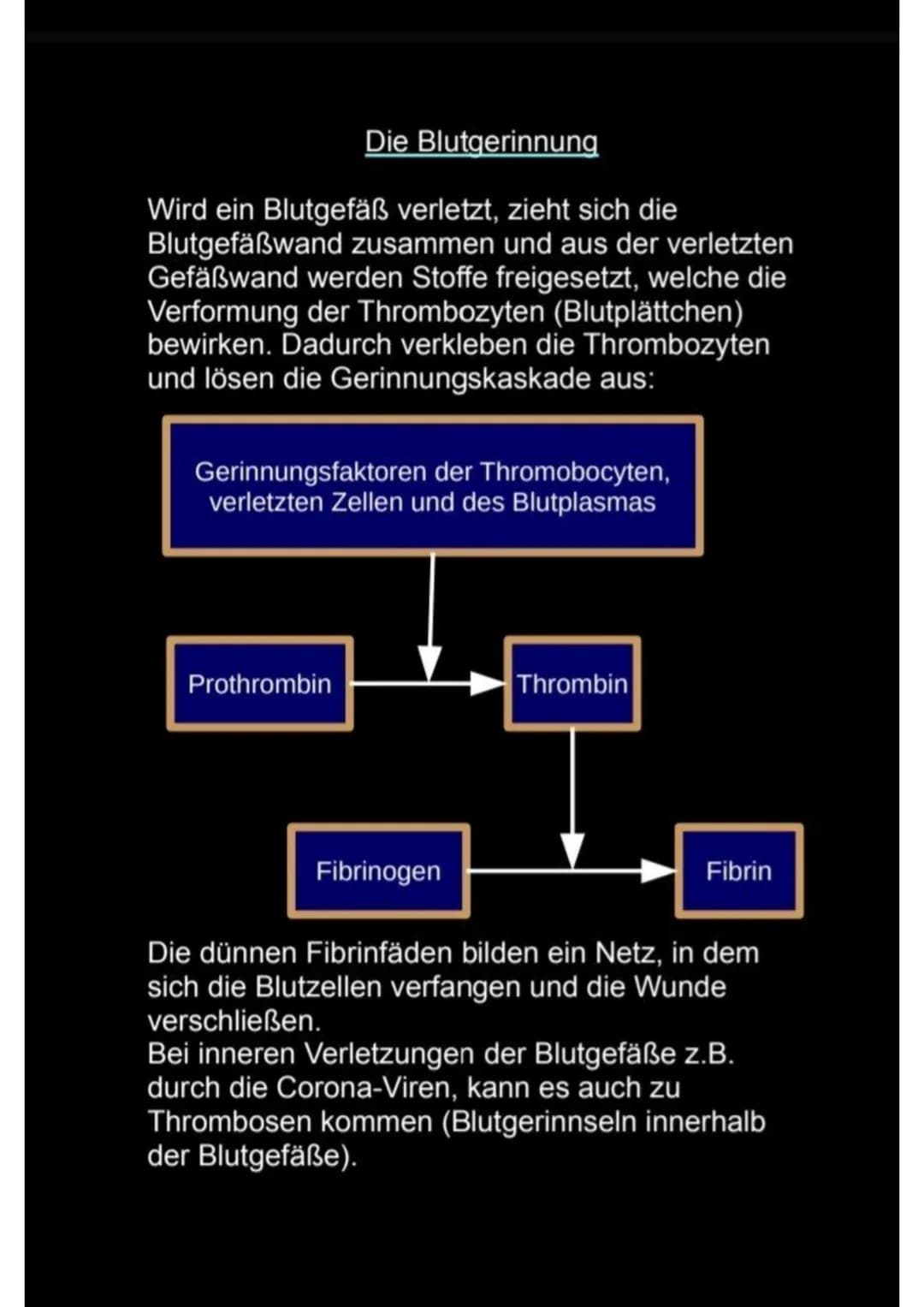 Das Blut
Das Blut ist das wichtigste Transportsystem unseres
Körpers.
Ein Erwachsener hat 4-6 Liter Blut.
Es transportiert:
Sauerstoff
Kohle