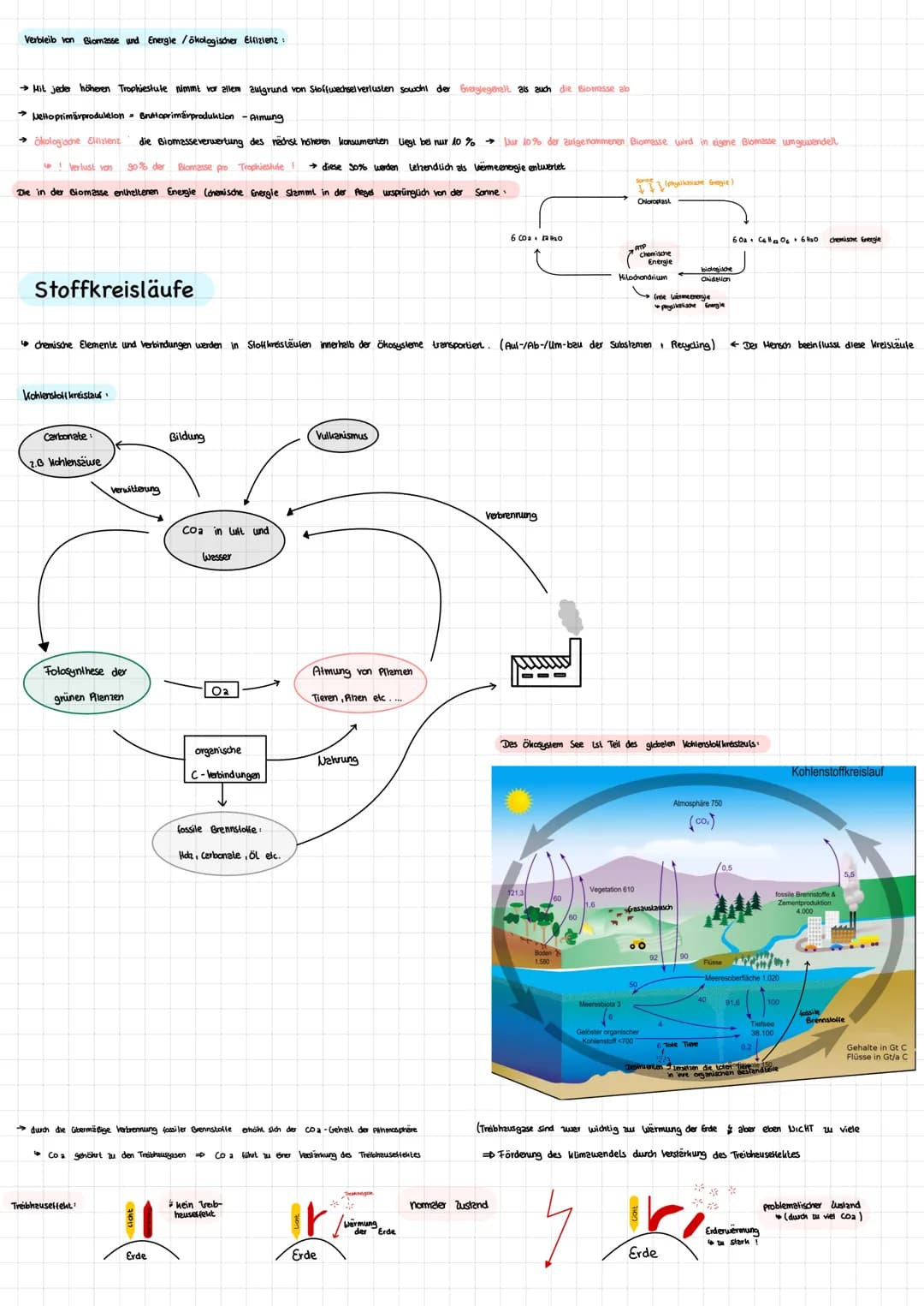 Biosphäre umfasst alle lebensräume unserer Erde, die von Lebewesen besidelt sind
Atmosphäre Lebensraum Luft
Pedosphäre Lebensraum Boden
Hydr