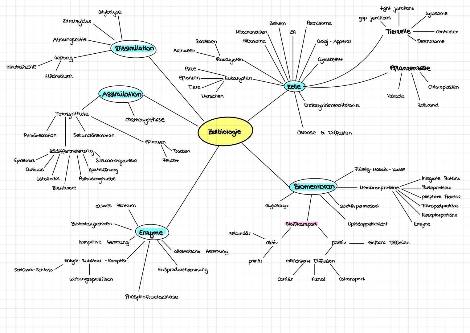 wechselwarme Tiere
Klimabelastung
Ressource Wasser
RGT-Regel
gleichwarme Tiere
Biozonose
Biotop
Biodiversitāt
Temperatur
Winterschlaf
offere