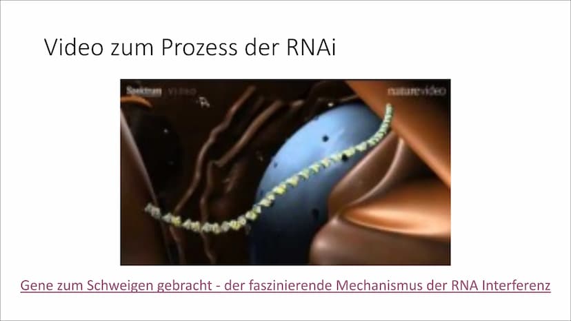 RNA
Interferenz
Von Lotta Inhalt
1. Was ist RNA Interferenz?
2. RNAi als Abwehrmechanismus
3. Kontrolle der Genexpression
4. Ablauf der RNAi