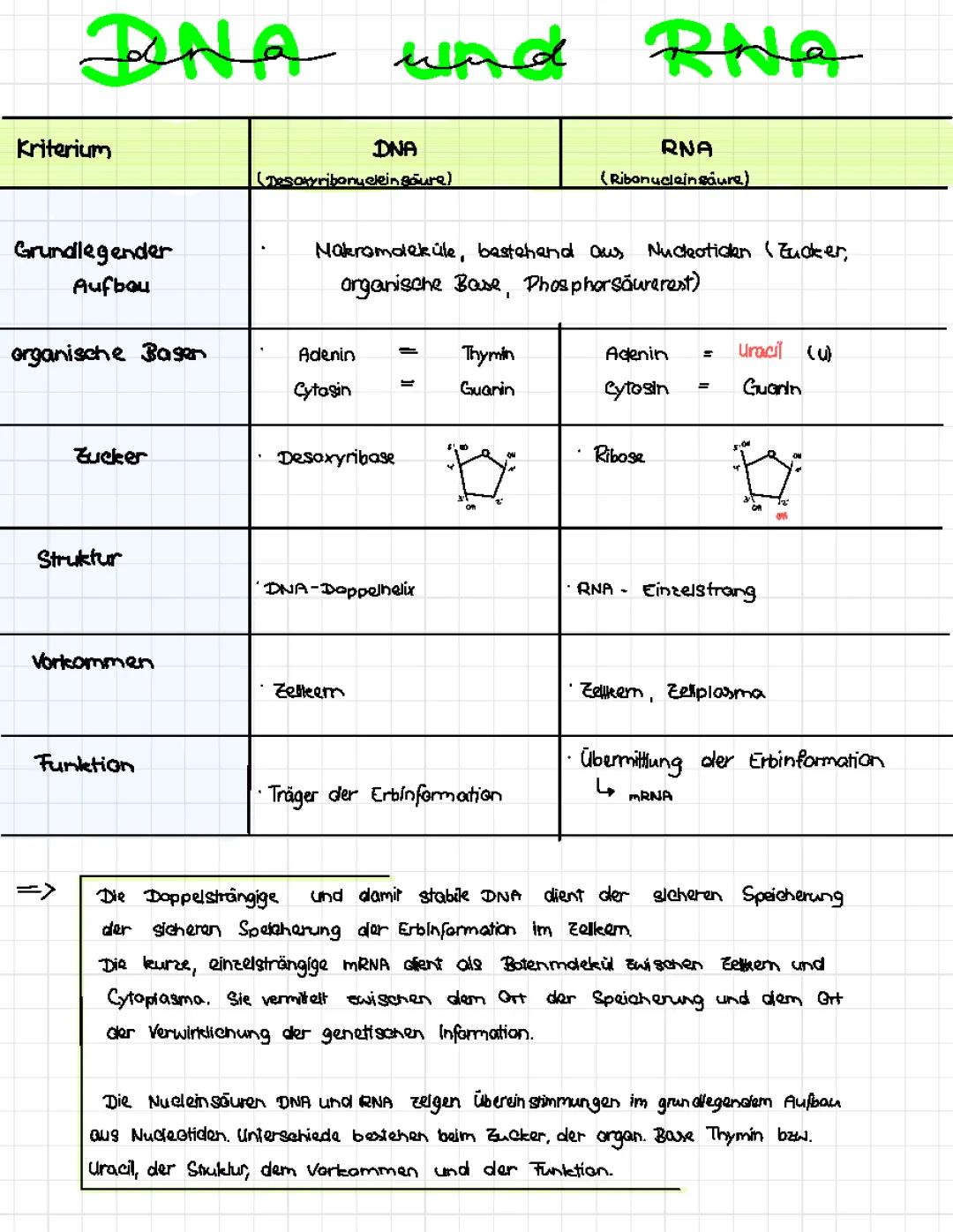 DNA und RNA
