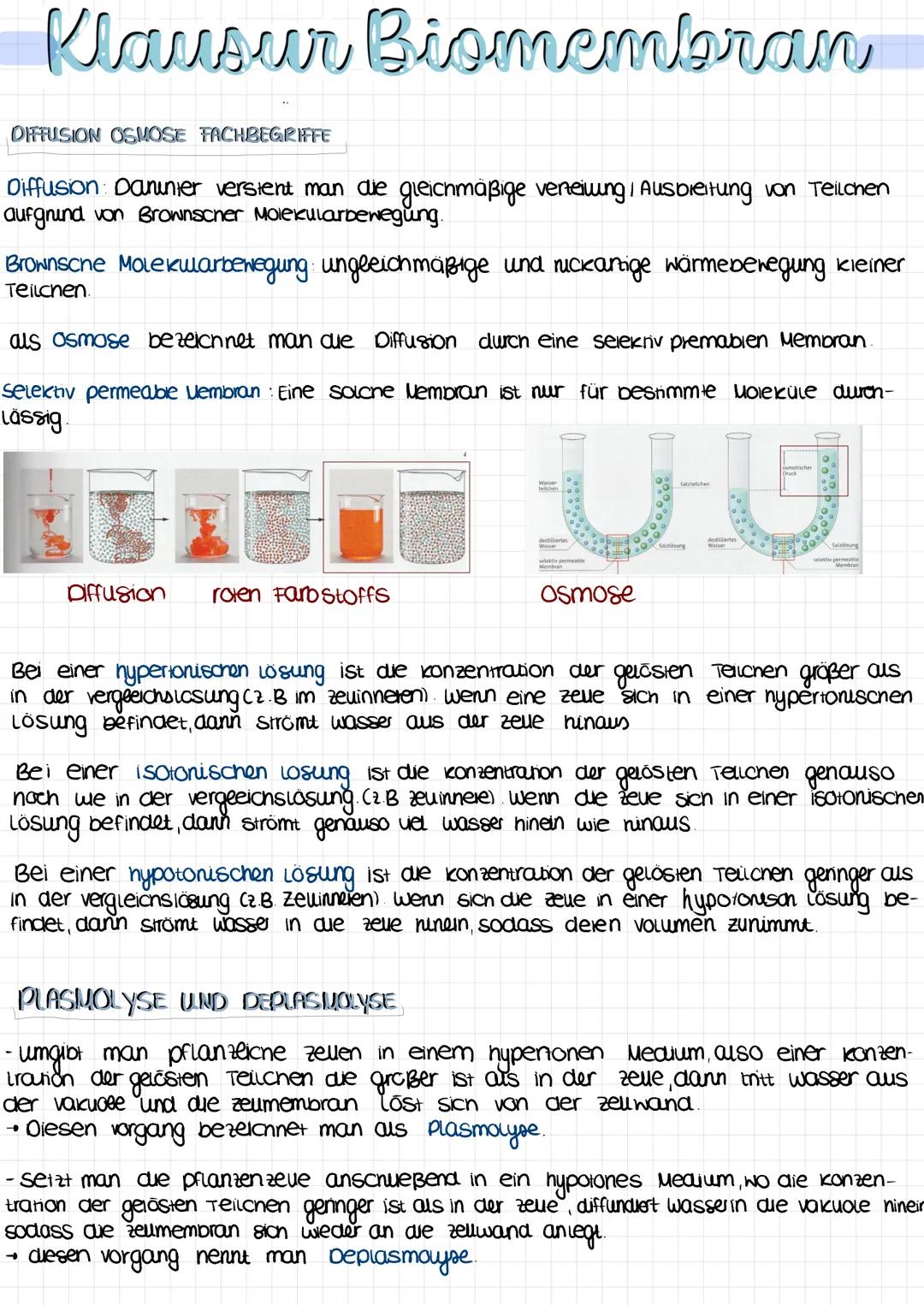 Klausur Biomembran
STRUKTUR UND FUNKTION BIOMEMBRAN
Phospholipiddoppelschicht
Funktion verninden das Hindurchtreten wasserlöslicher Moleküle