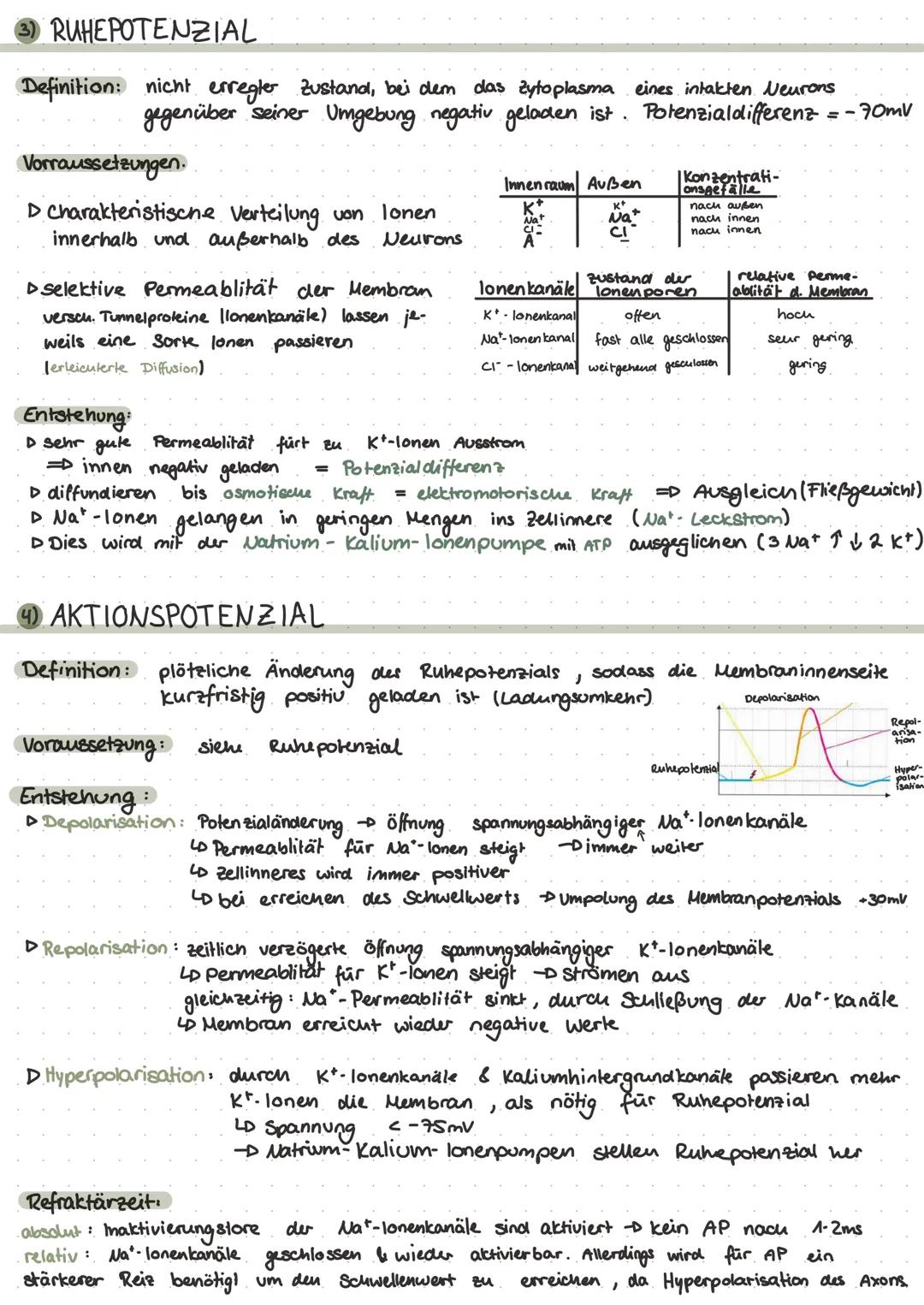 # neurobiologie

1 REIZ - REAKTIONS-SCHEMA & REFLEXE

▷ Umweltreiz wird
von Sinneszellen
aufgenommen

▷ elektrische
Erregung

Reflexe:

Tran