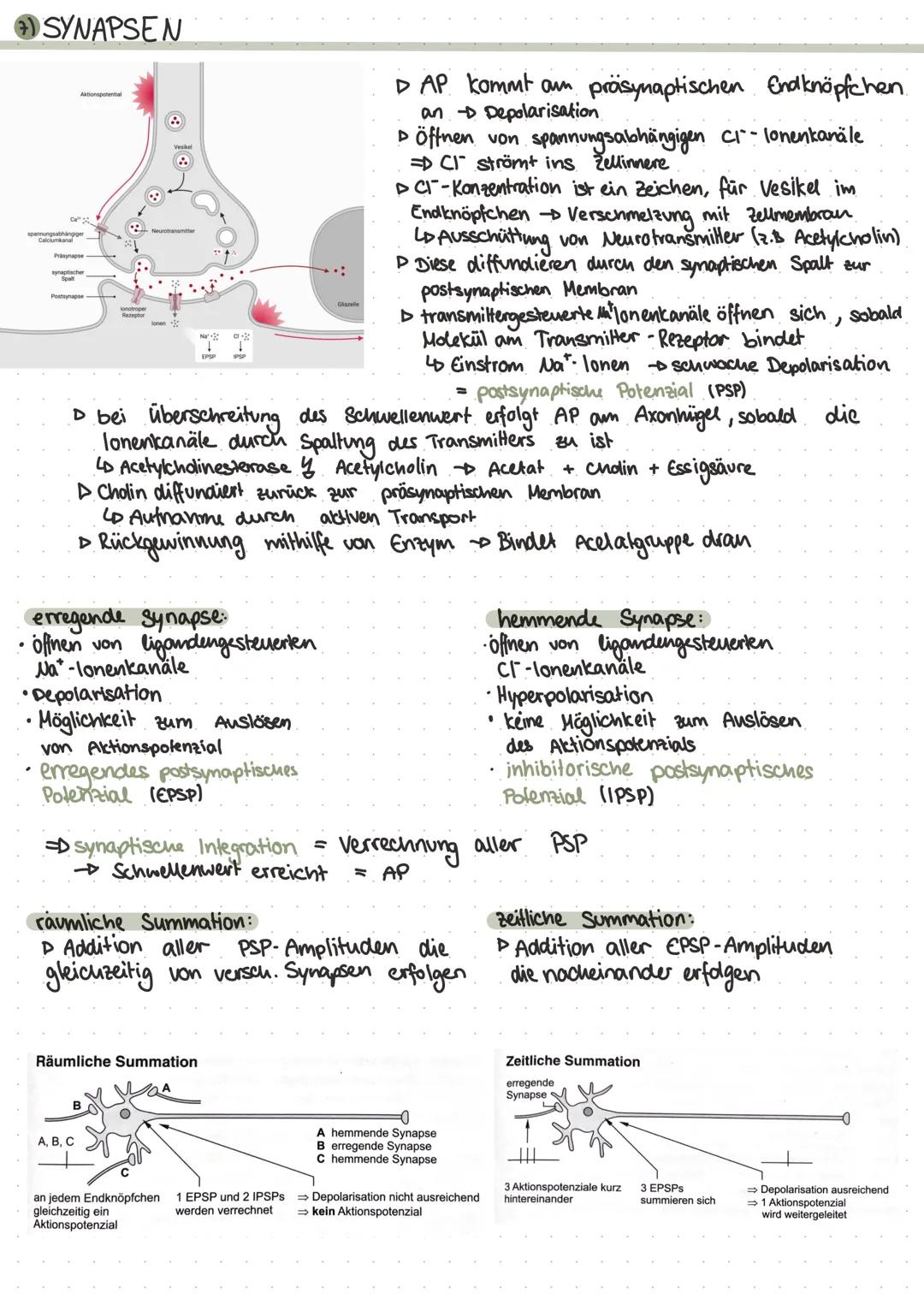 # neurobiologie

1 REIZ - REAKTIONS-SCHEMA & REFLEXE

▷ Umweltreiz wird
von Sinneszellen
aufgenommen

▷ elektrische
Erregung

Reflexe:

Tran